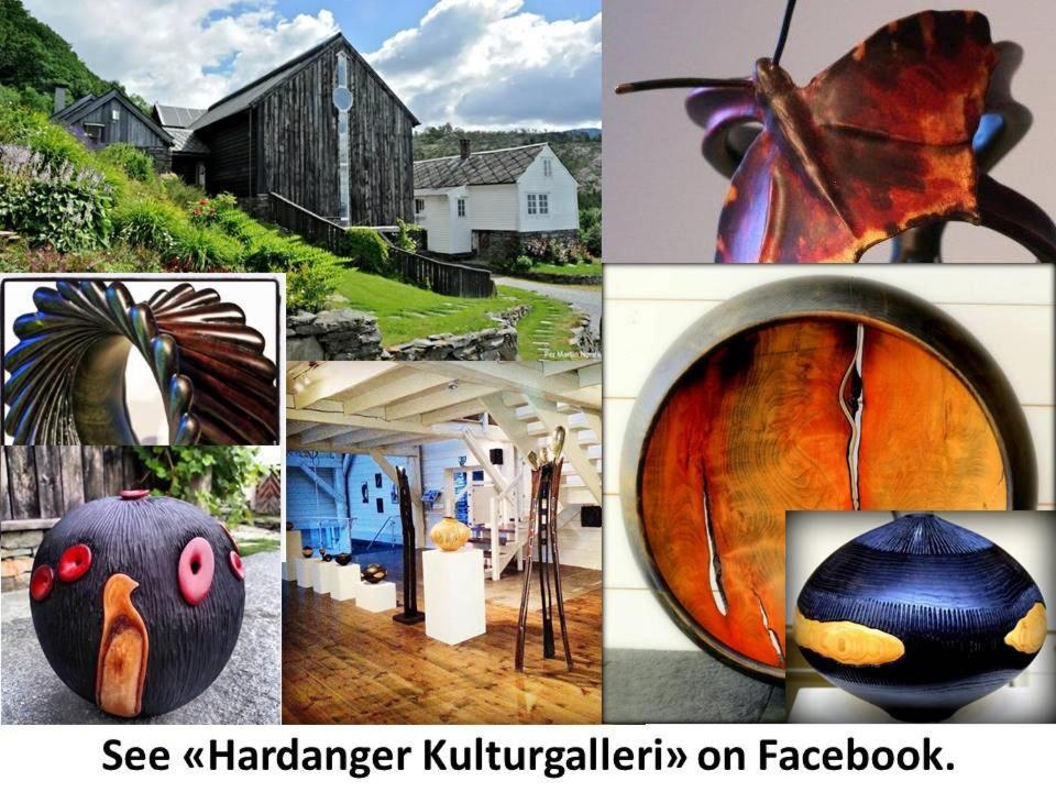 Apartment In Herand, Hardanger מראה חיצוני תמונה